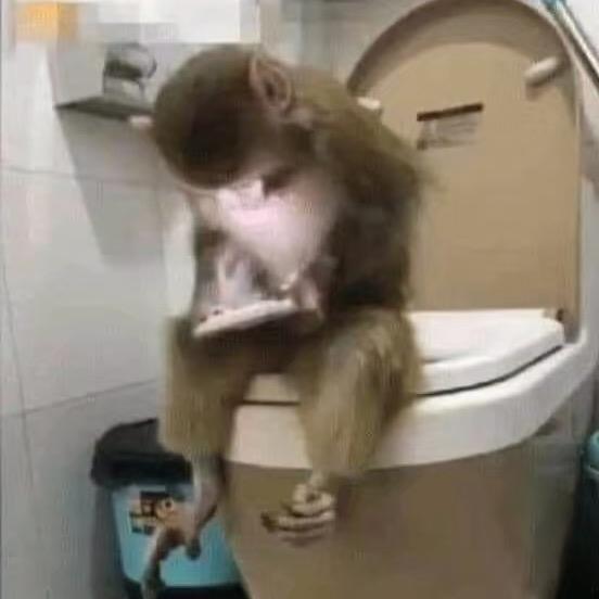 美少女战士🙉ིྀ