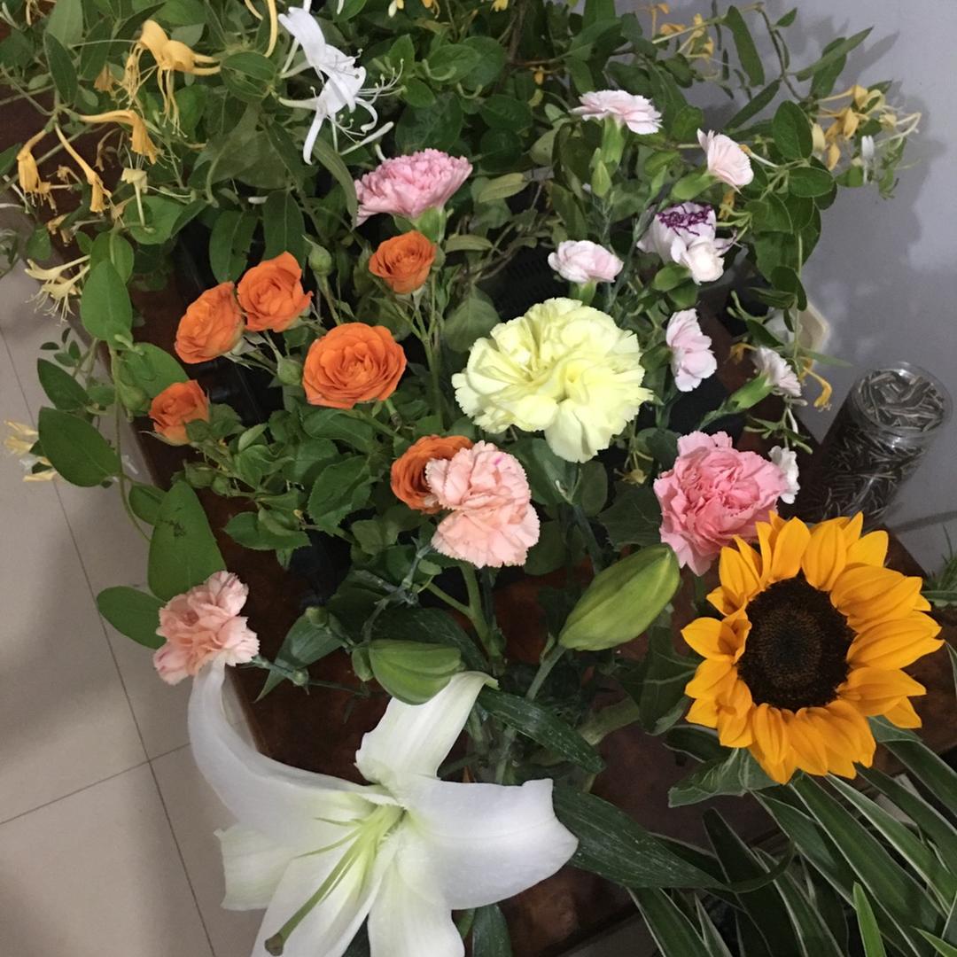 96(ᵒ̤̑ ₀̑ ᵒ̤̑) OMG!