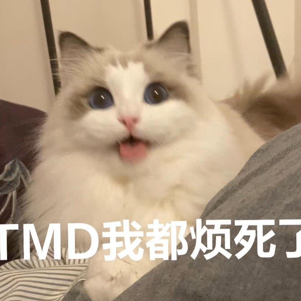 拉克丝梦游仙境