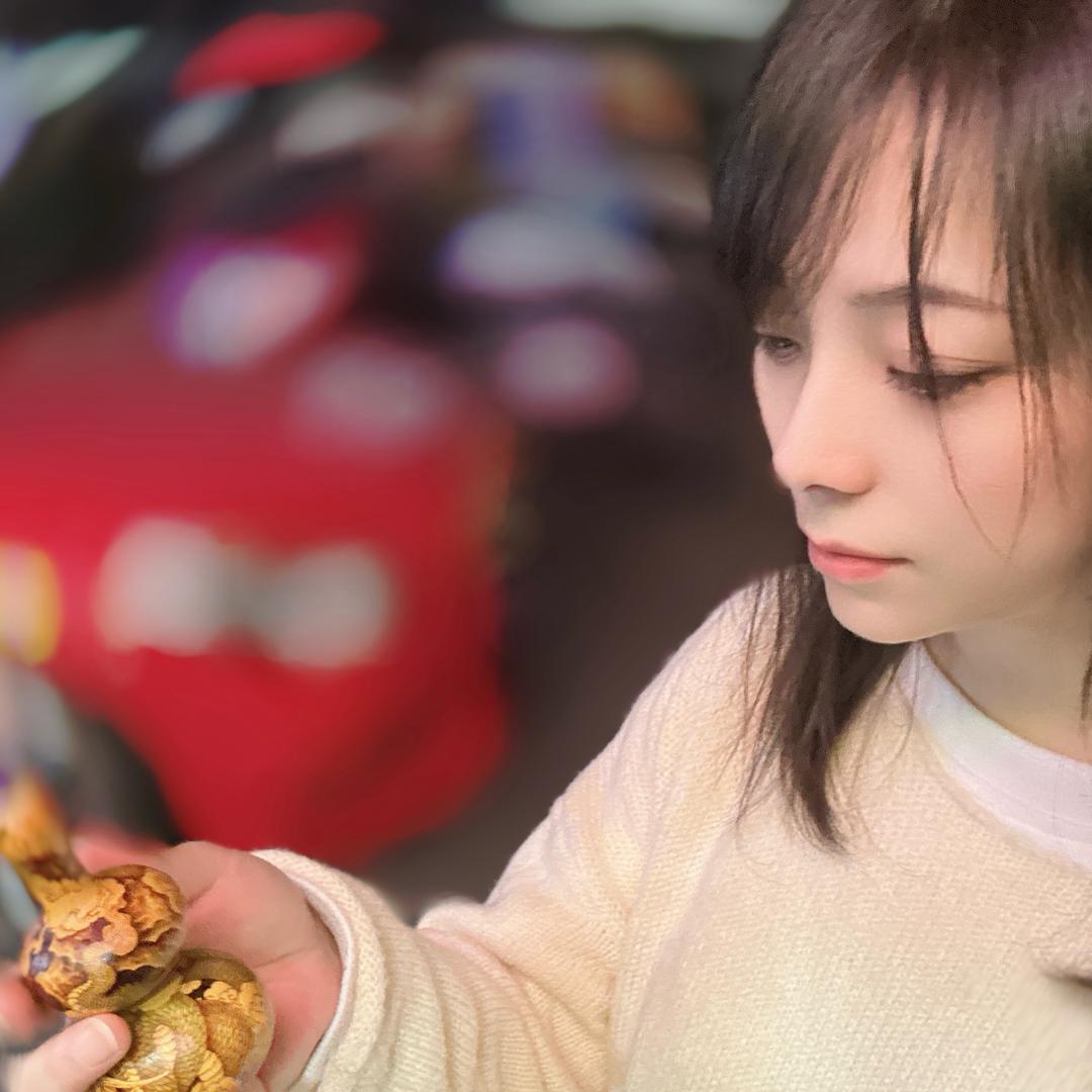 饭盒林克