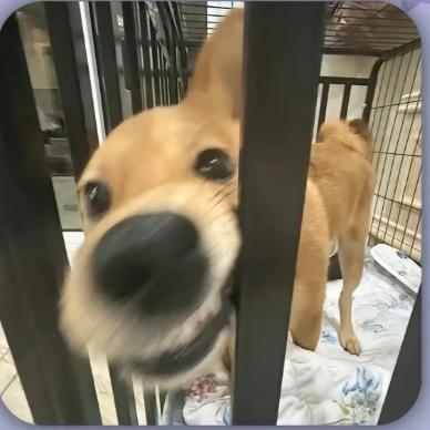 哈哈哈哈哈哈哈哈哈哈哈哈