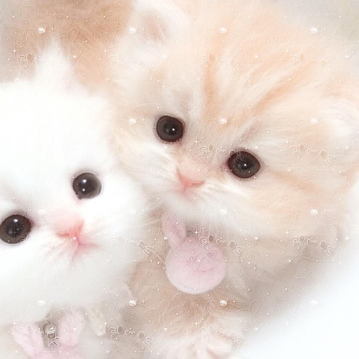 好想再吃胖点