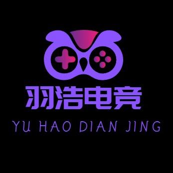 羽浩亦电竞工作室