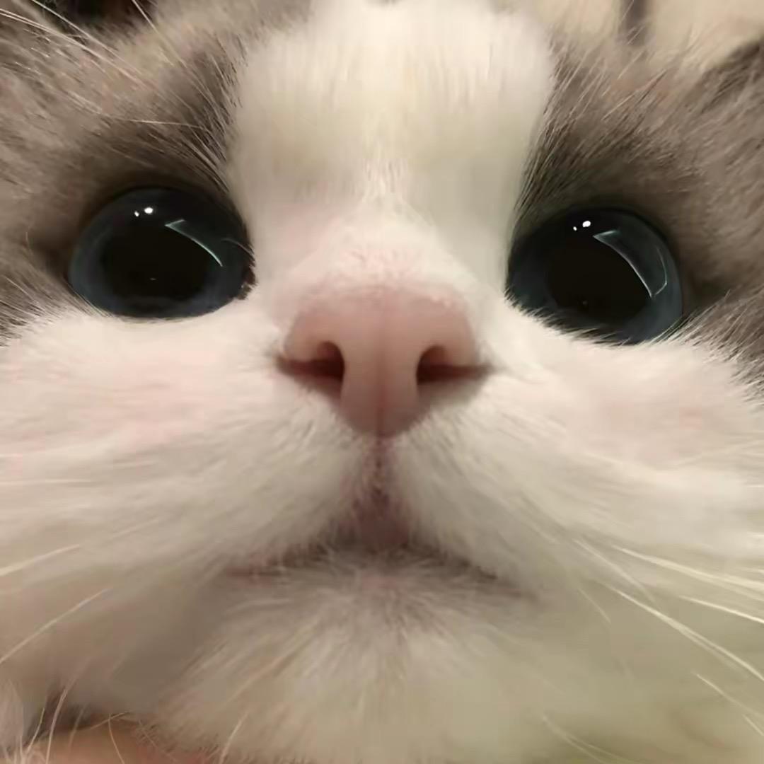Zz_