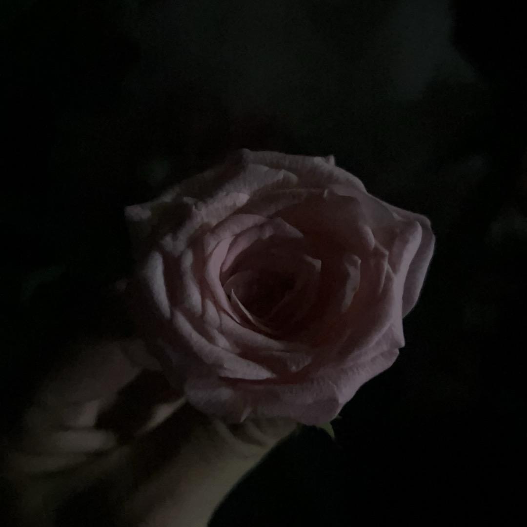 小昤