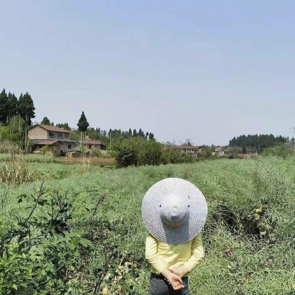 一闪一闪亮晶晶。