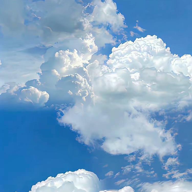 坤甄选橱窗好物