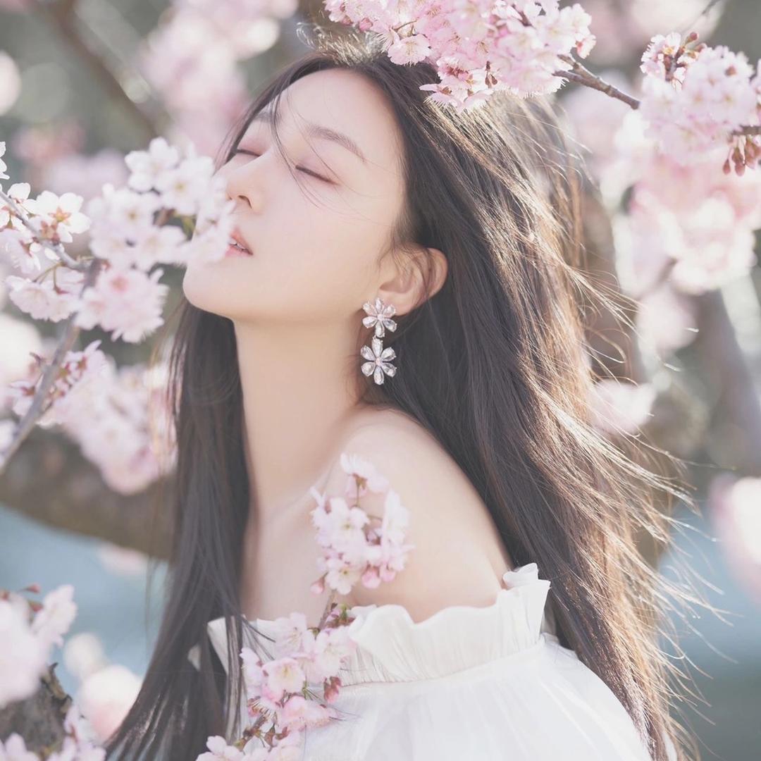 高家二小姐