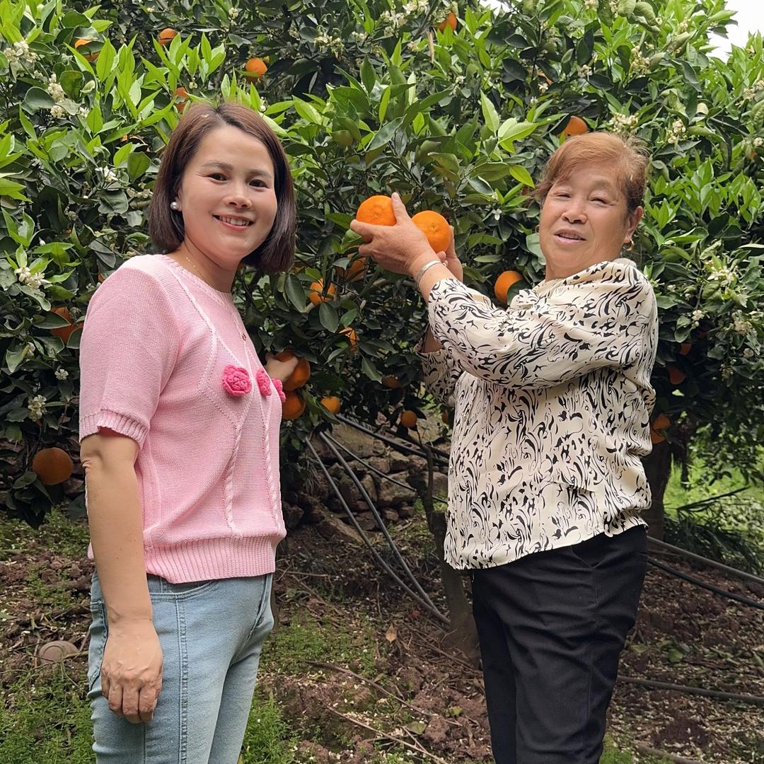 顺时针的小日常