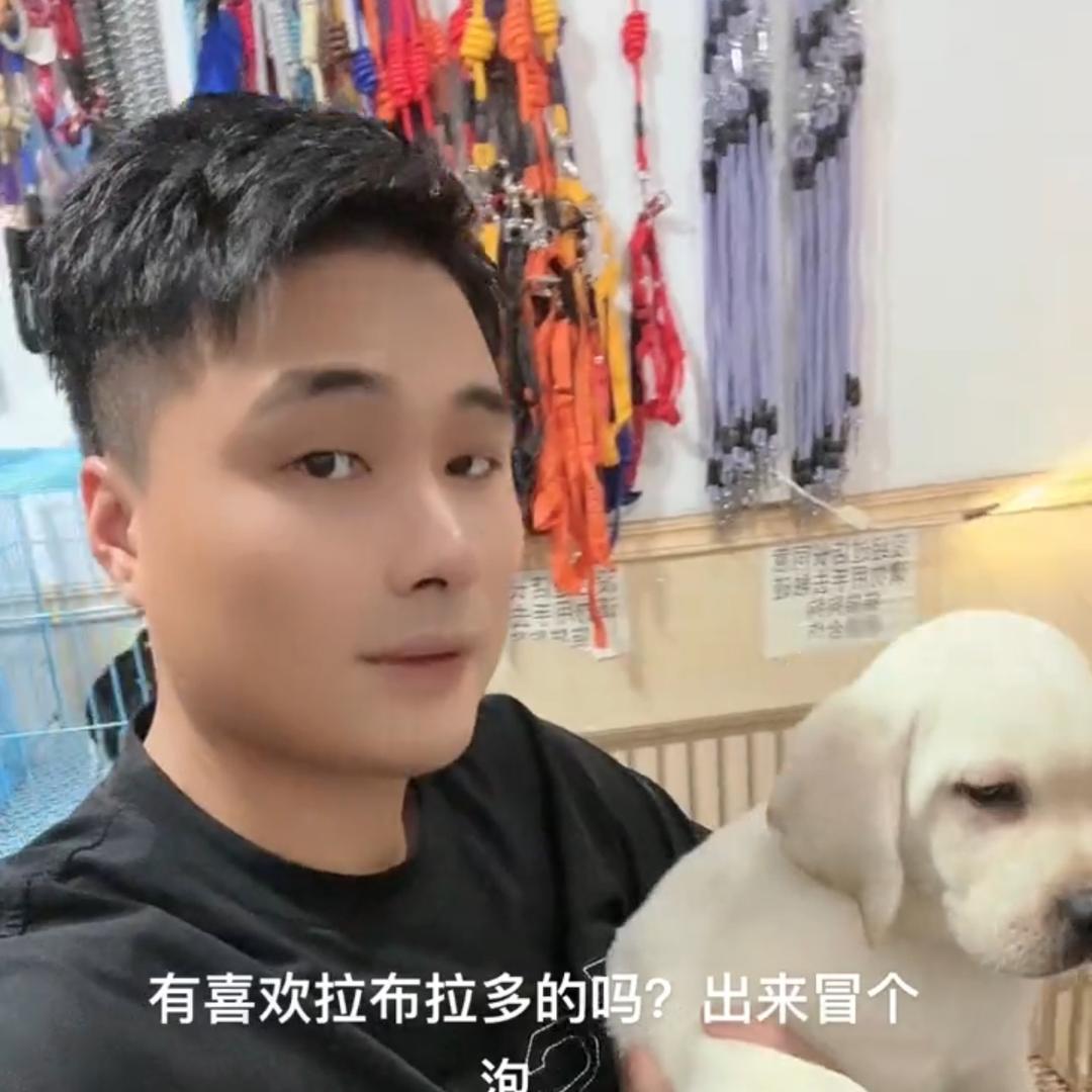 爱心格宠物店