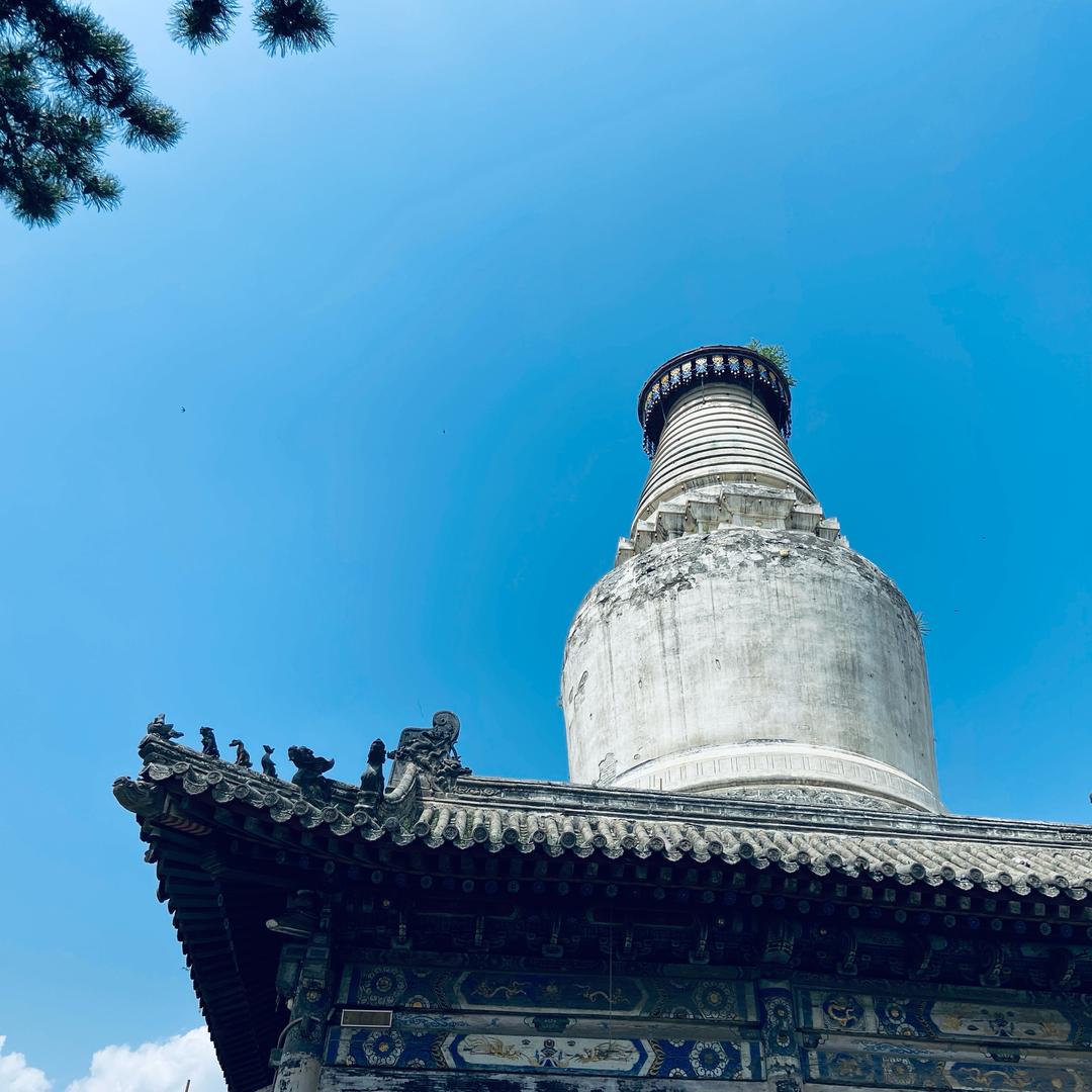 孞琞