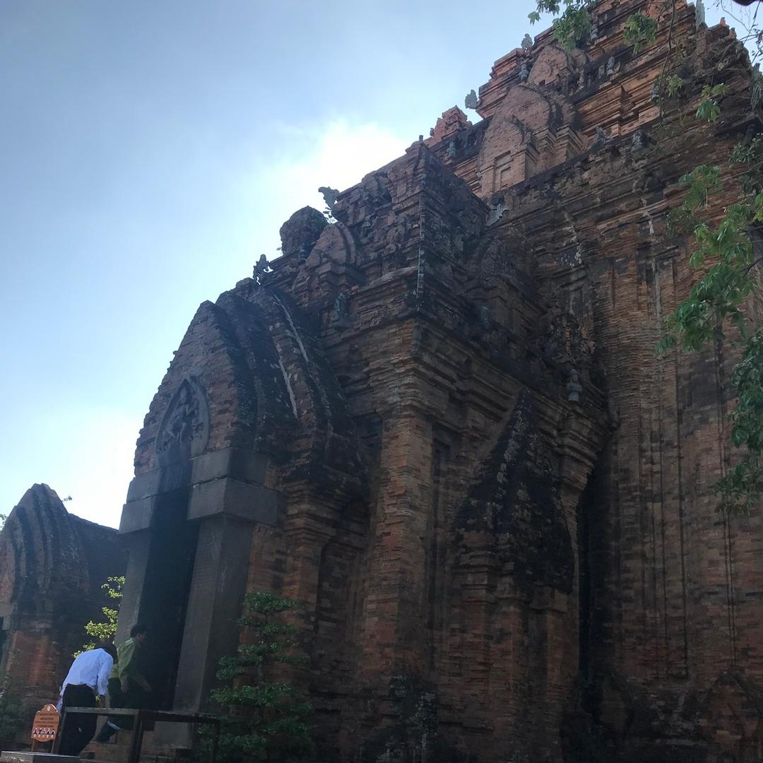 梅子.LI