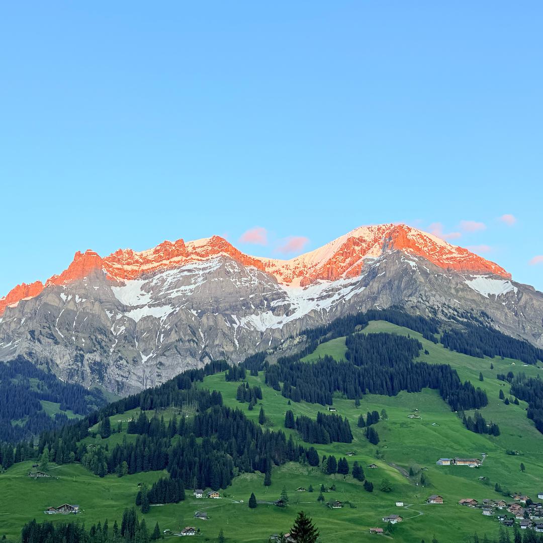 Schoko-