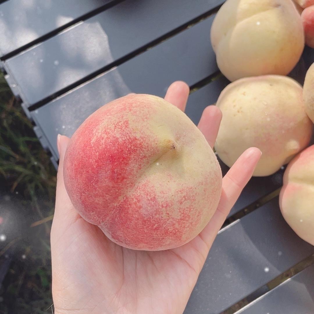 满甜熙水果冬桃