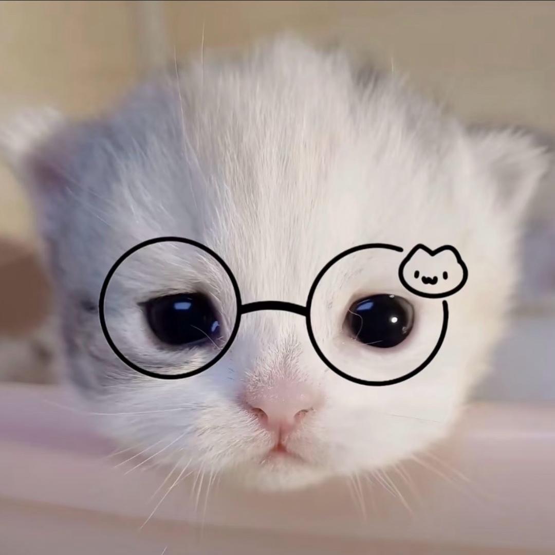 ^ ^