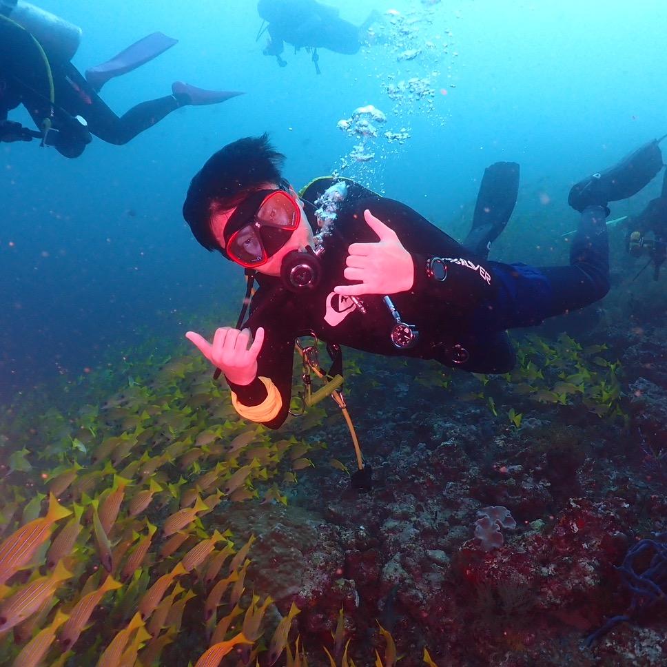 嘉伟说马来西亚留学（赴马）