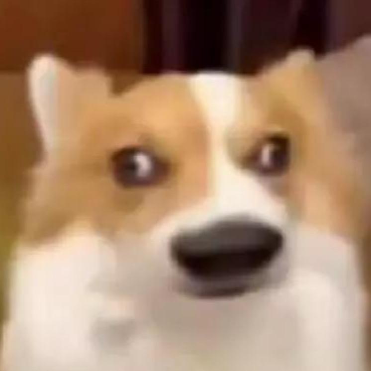 北北暗区突围