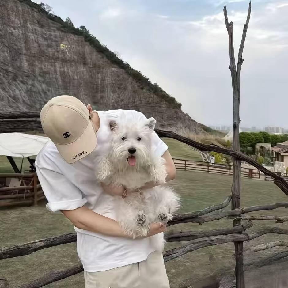 橙的
