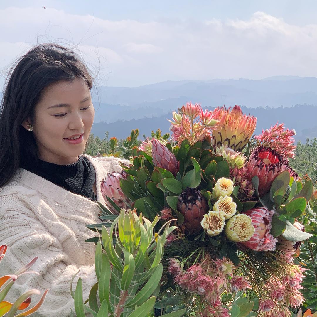云南海沄花卉（花里栖）