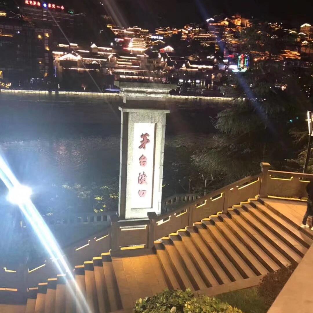 浪你的浪