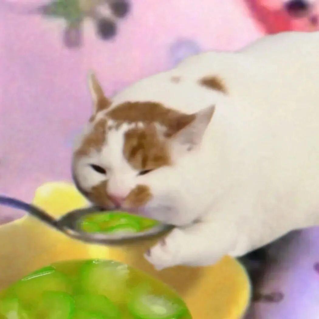 眼泪拌饭
