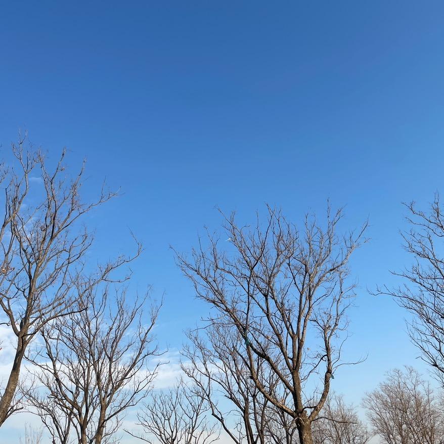 高娜