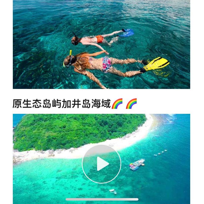 那个吉他手背影很帅