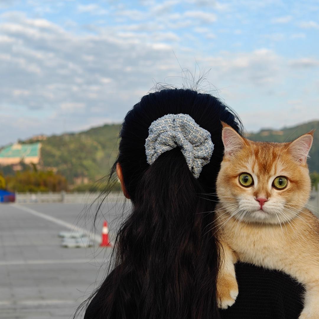 AAA牛仔裤批发小刘