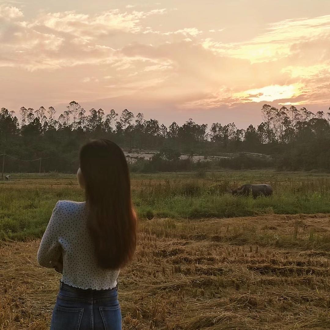 莹莹🍃