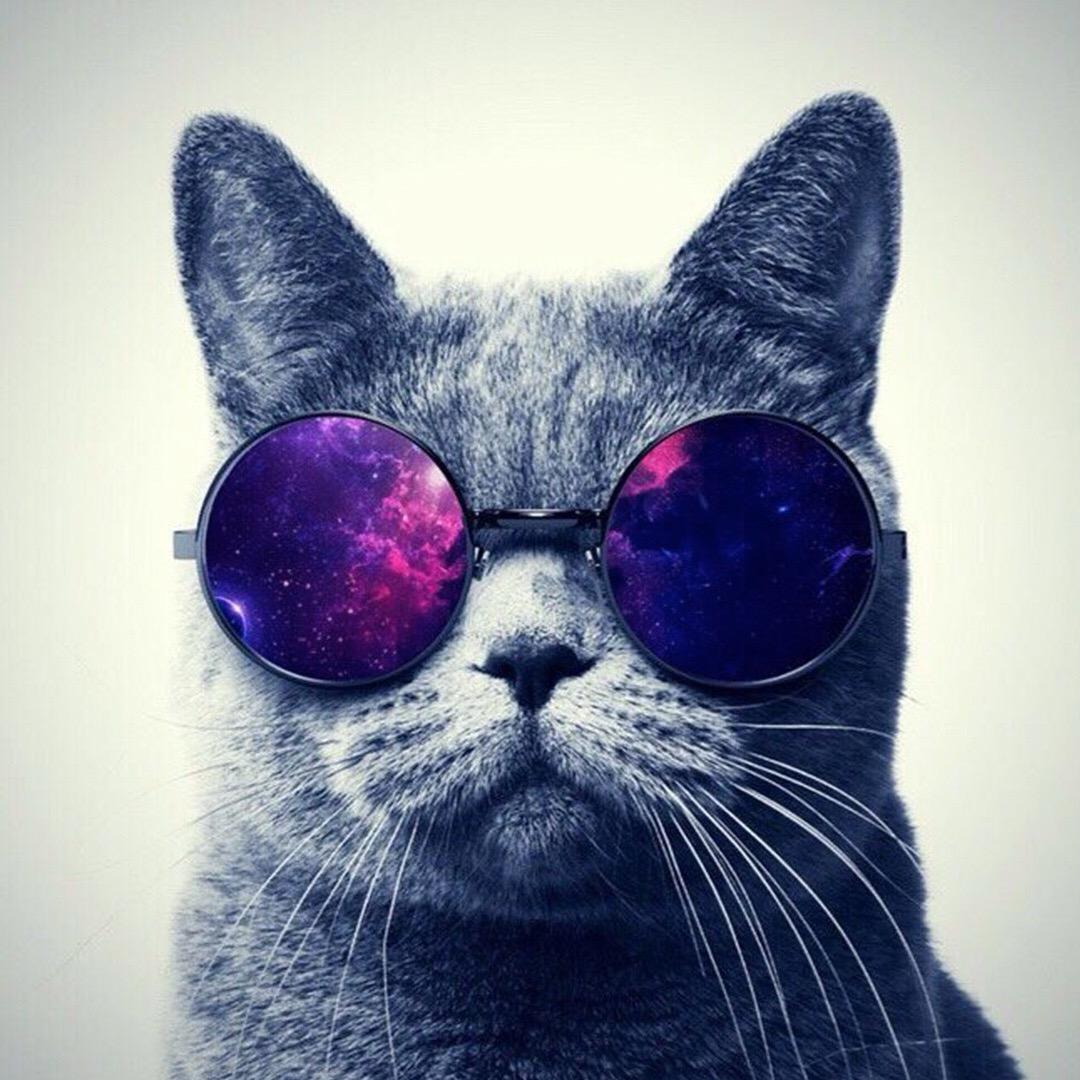 乱成一锅「周」   ᥫ᭡