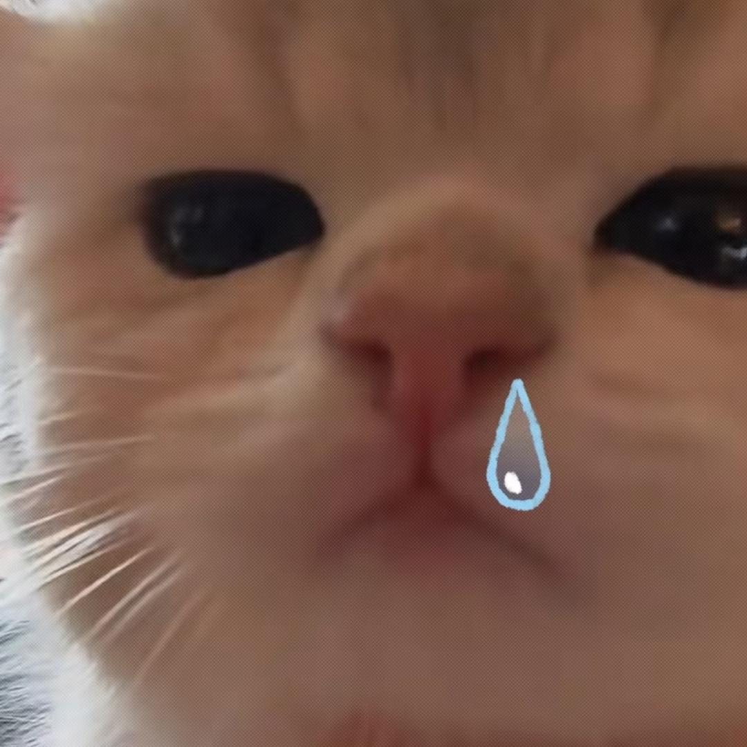 麻薯都给我
