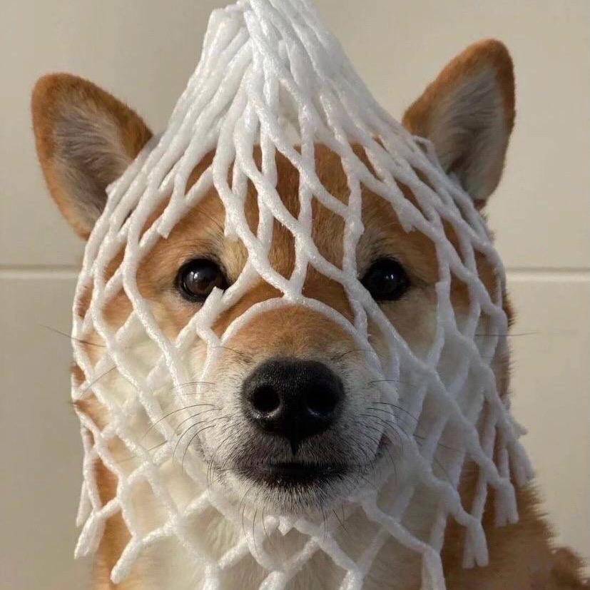 把爱留給叶贝妮