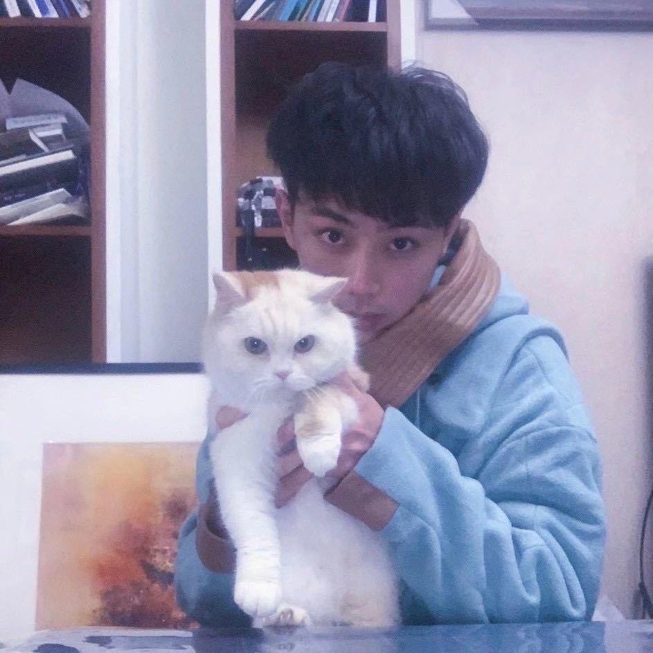猫迷水彩（网课）