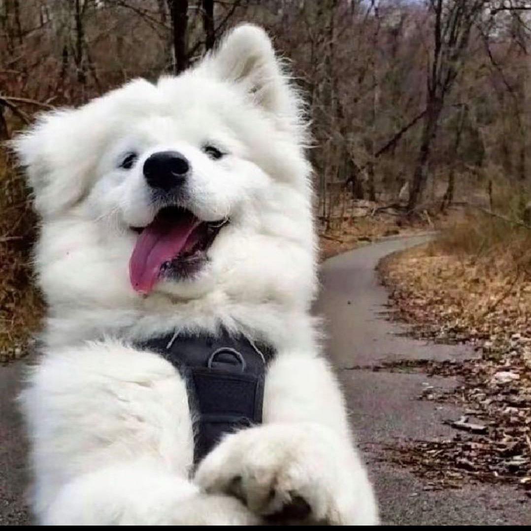 一一