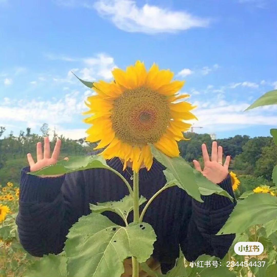 鸡腿不要照烧。