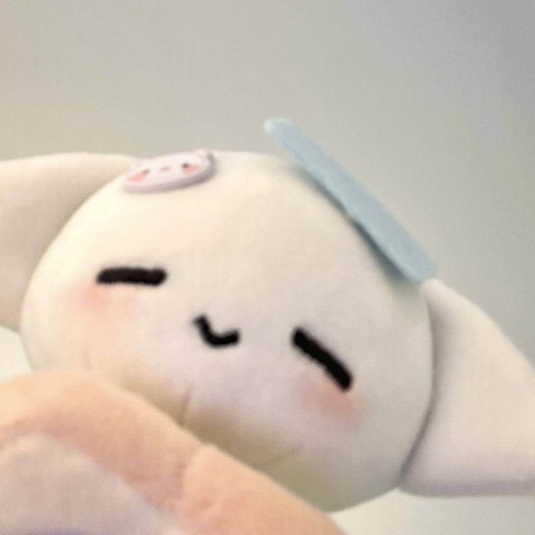 紫薯包