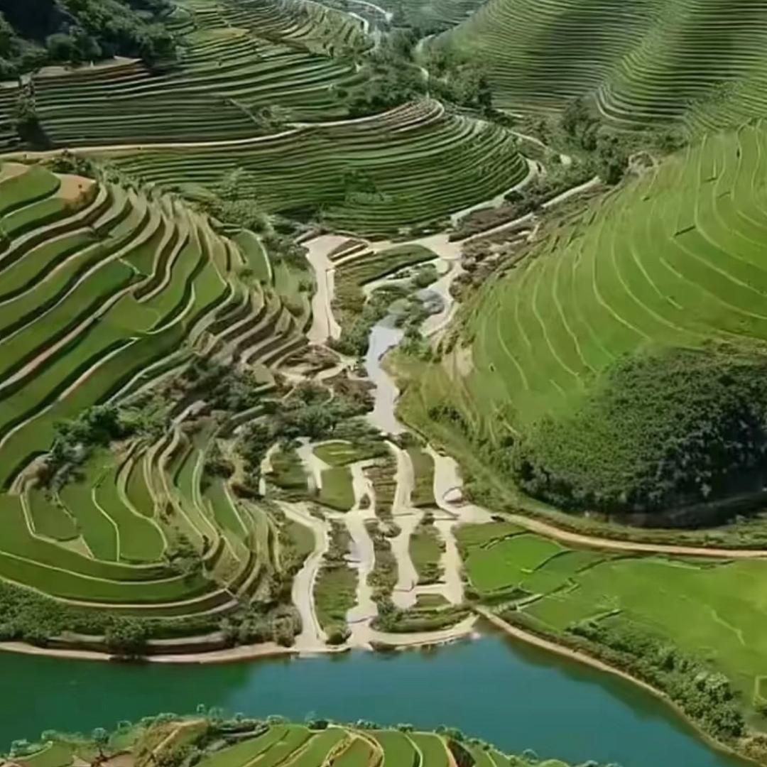 倩倩休杨威-皂卸