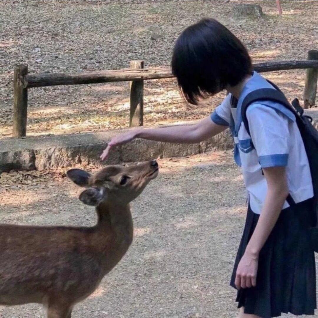 LLL