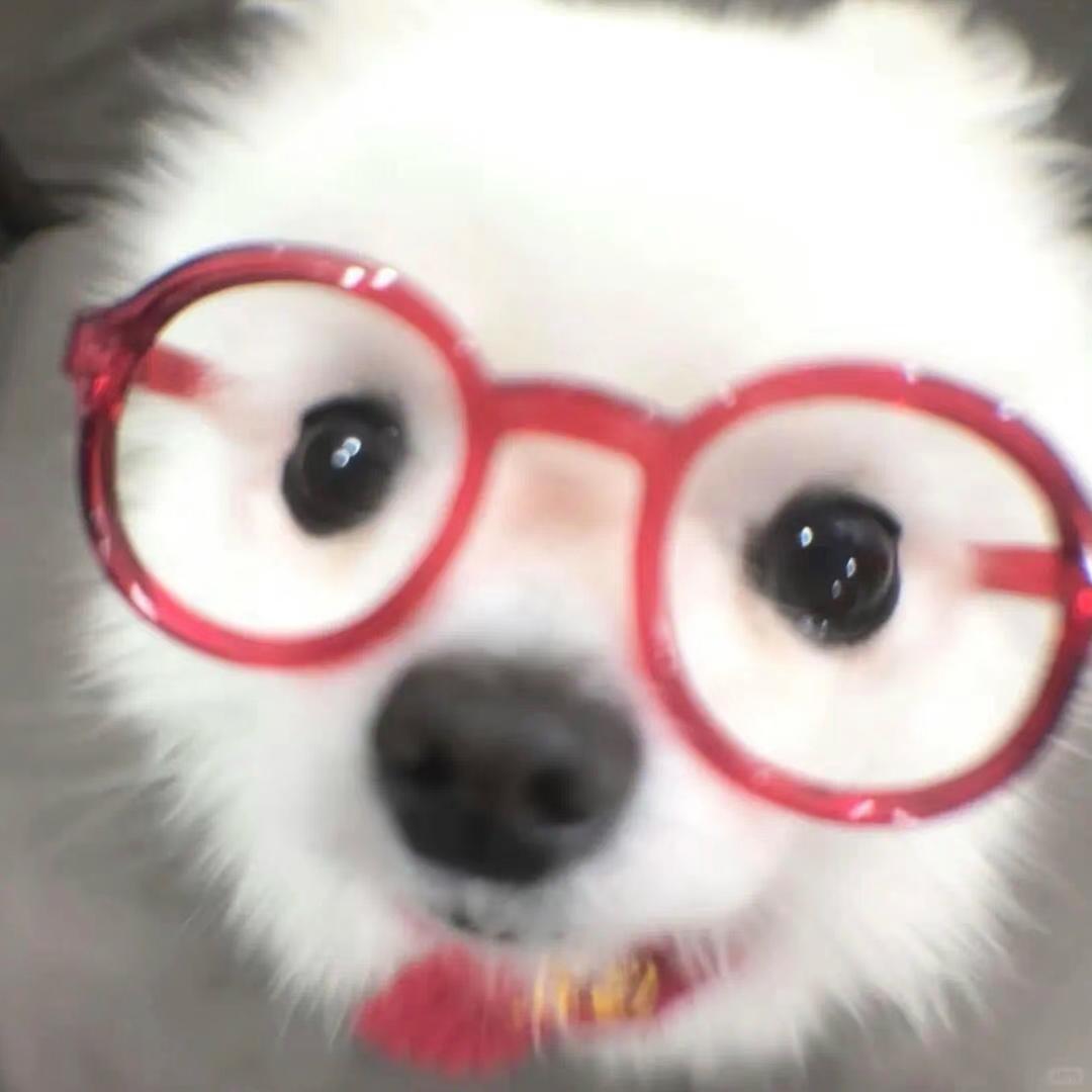 纯情火辣小耗子