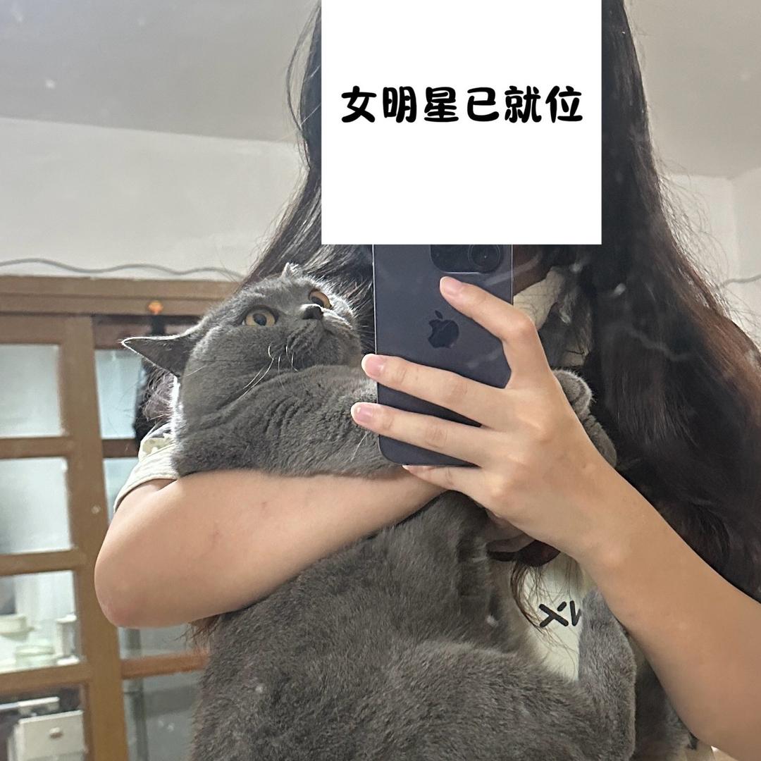 番茄味的薯片