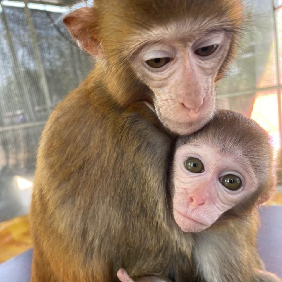 🌈欢乐动物园🐒🐒