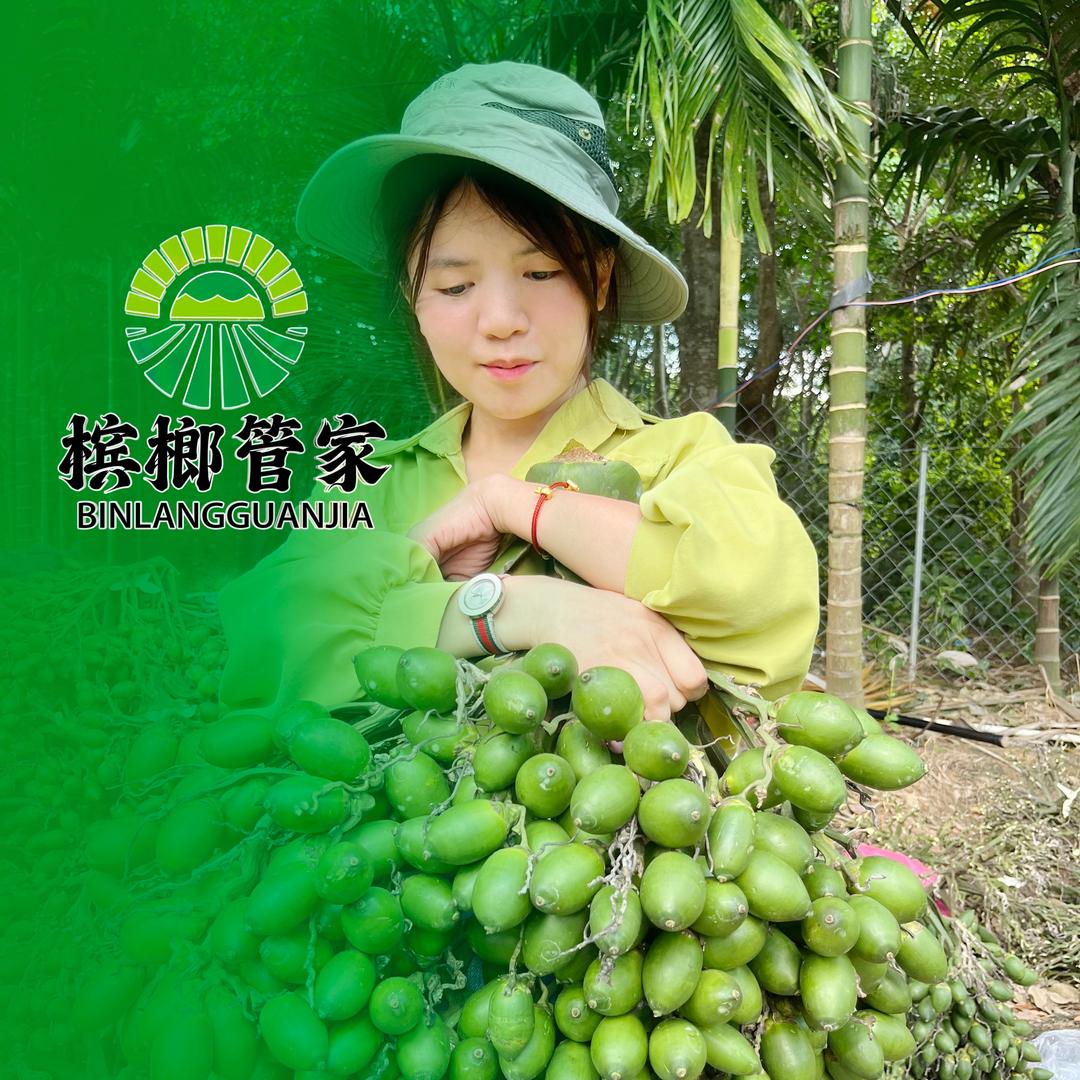 槟榔管家（大总管）