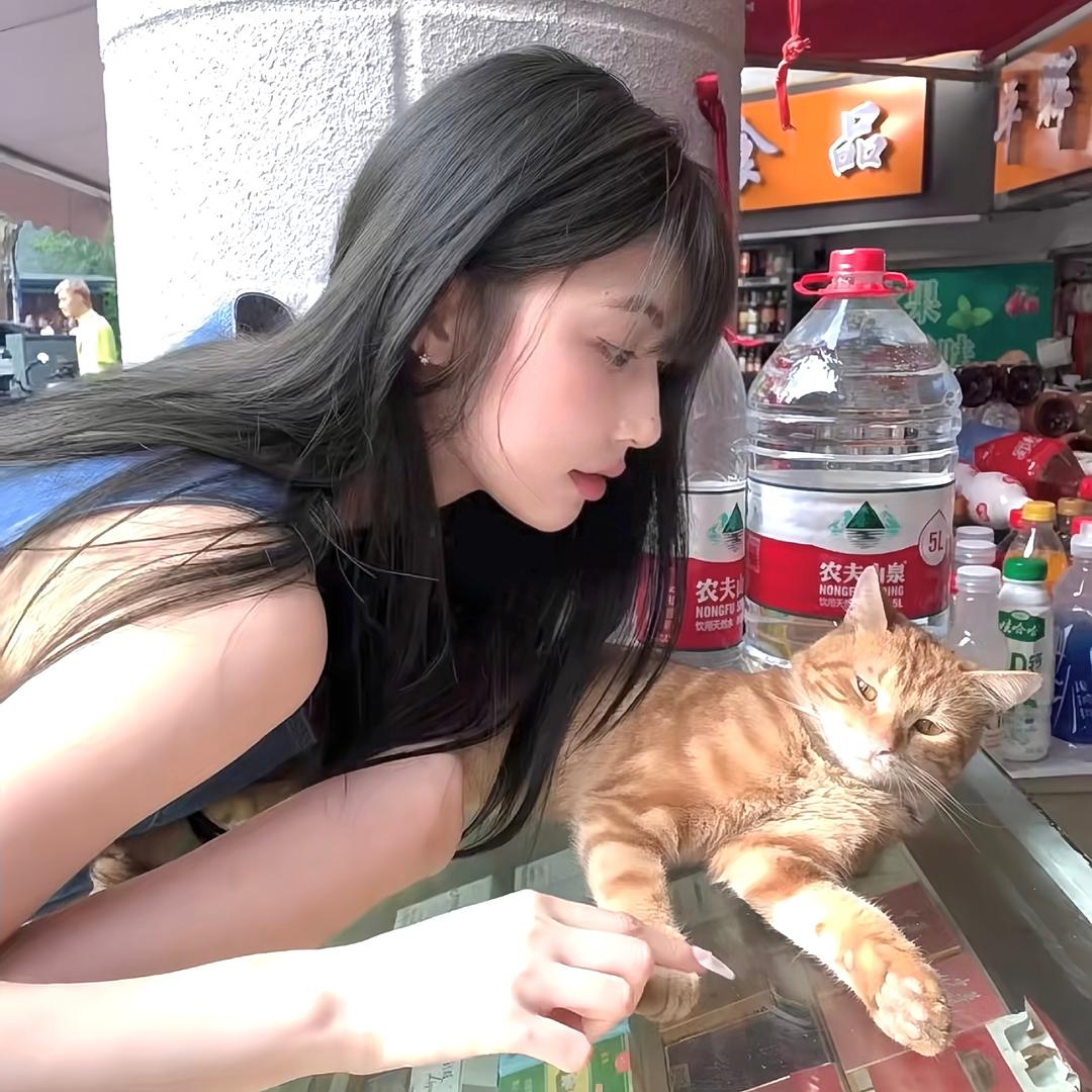 贺赛飞