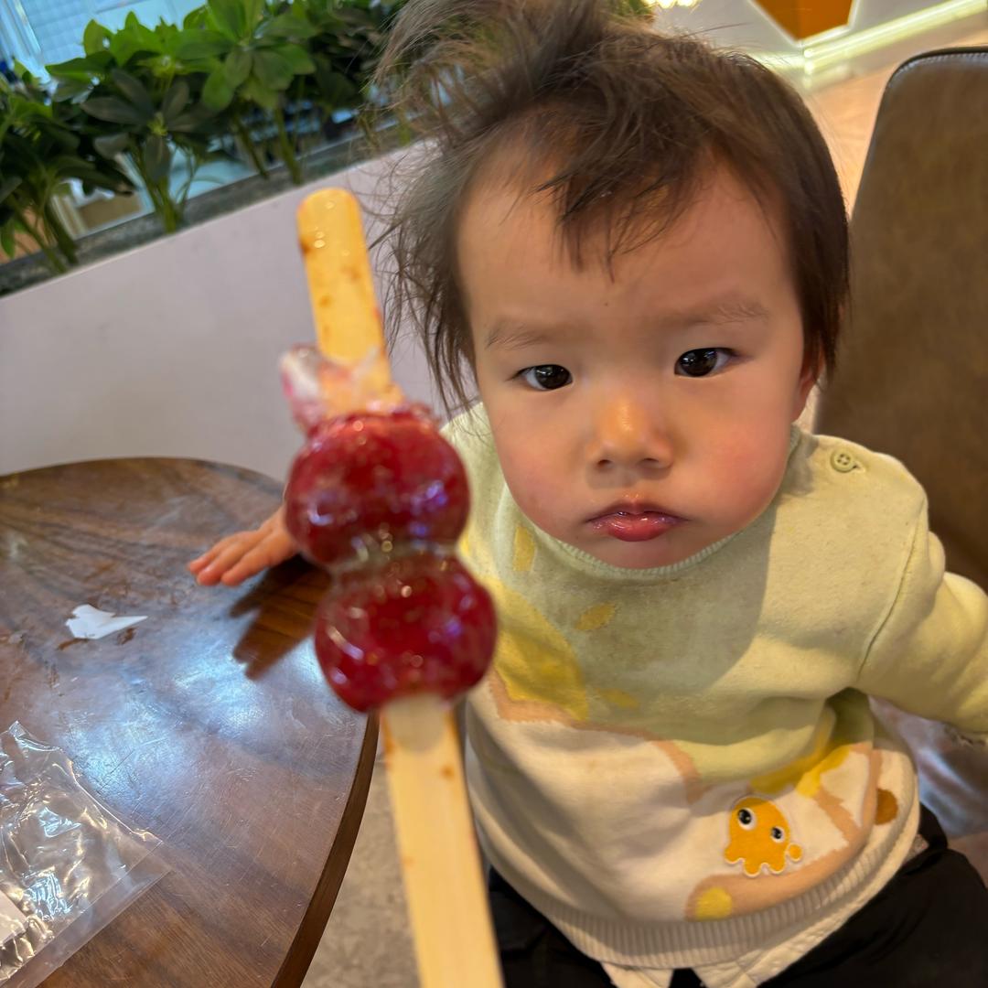 一只小恐龙