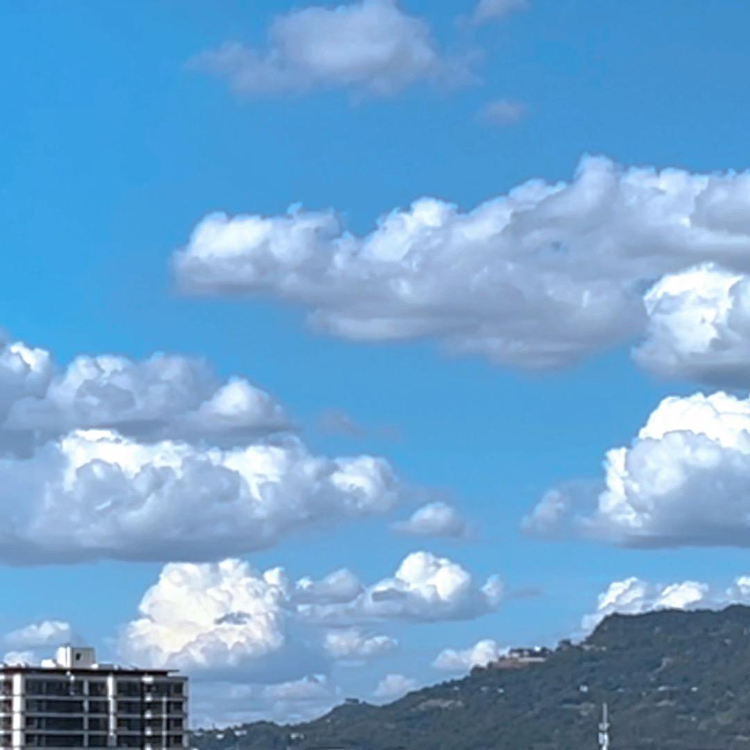 🌿（互关互赞）