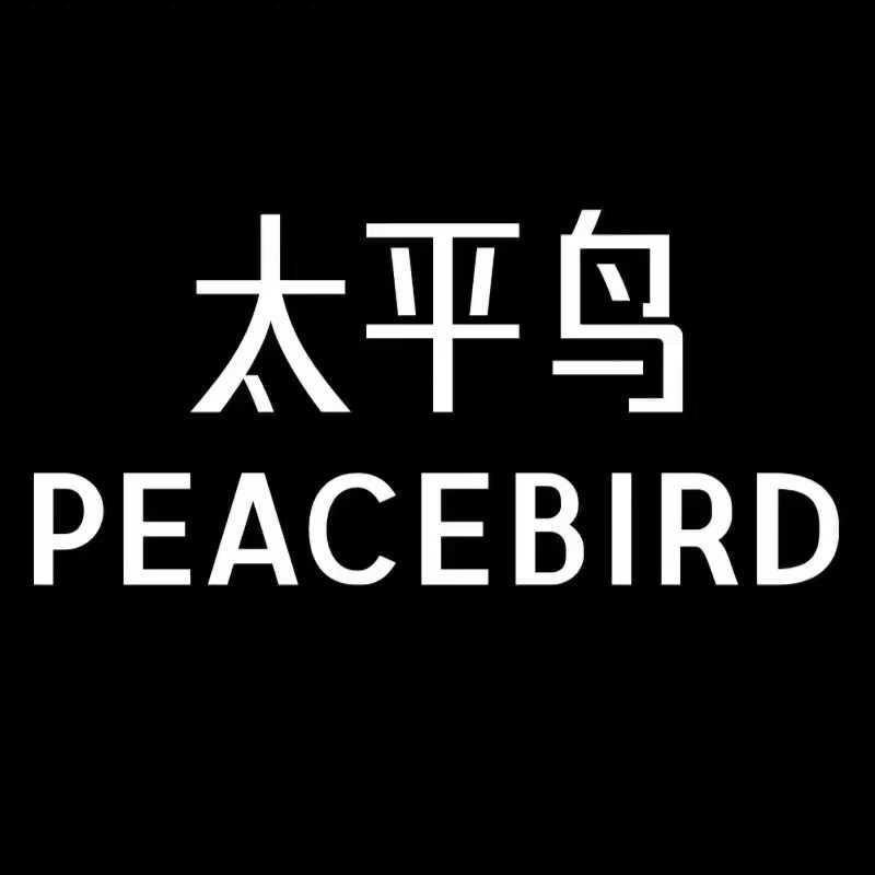 太平鸟男装-南充1227店