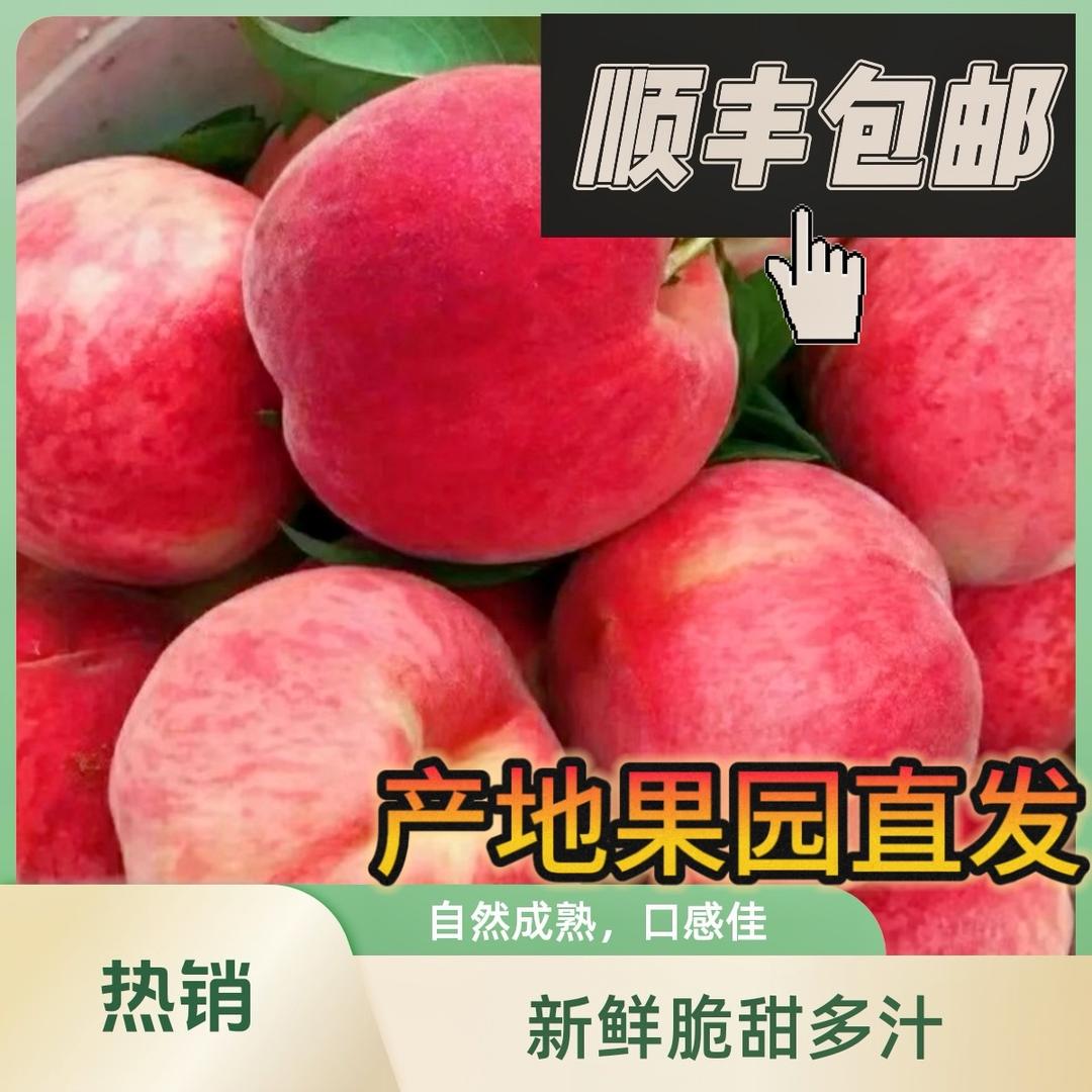 果云云（鲜桃纯甜直播）