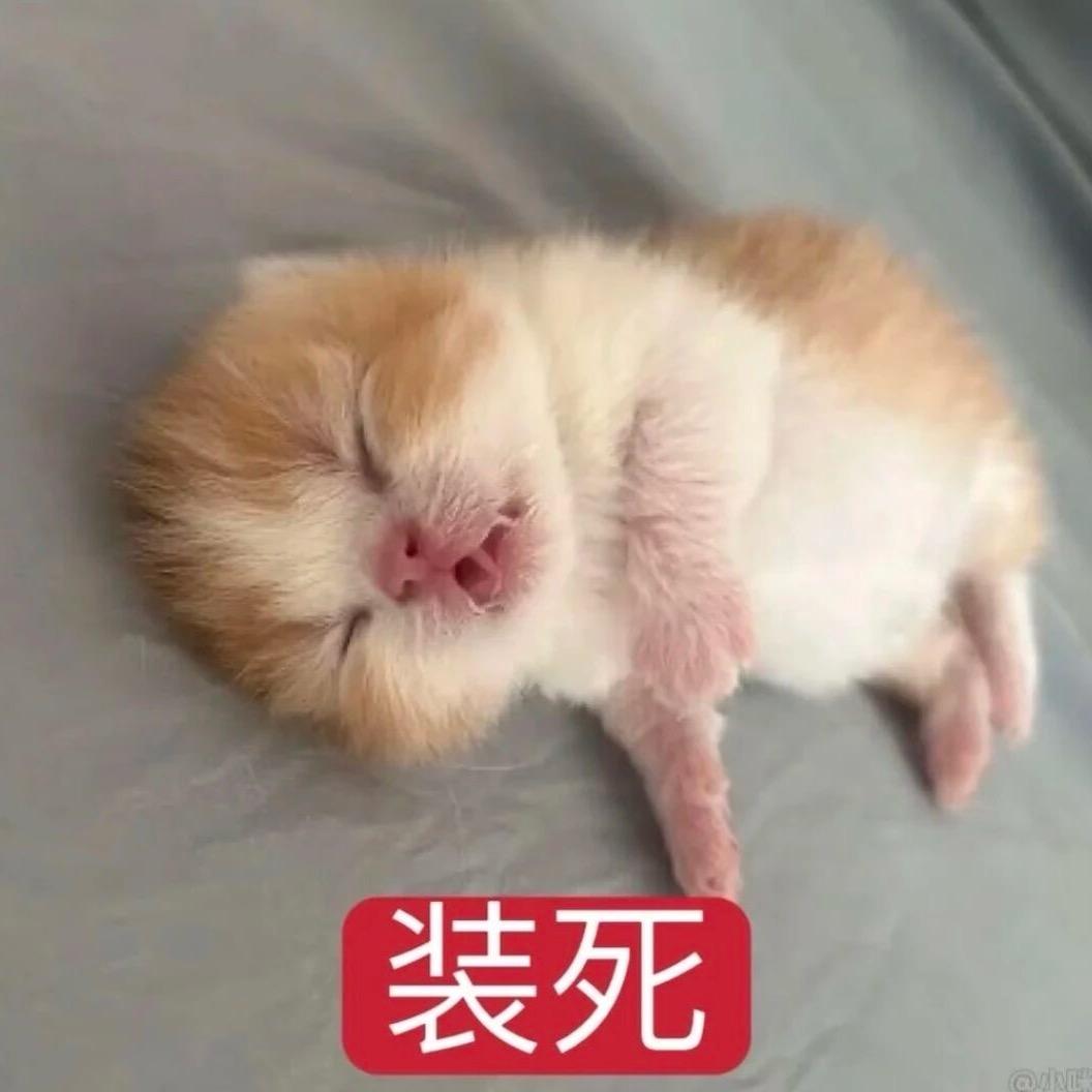 怎会命苦至此