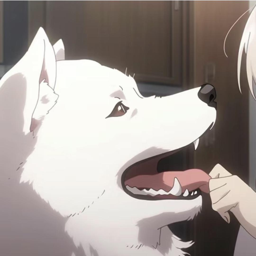 浙江山礼国犬繁育基地