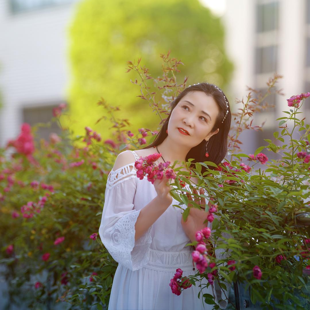 🌷蓝天白云🌴